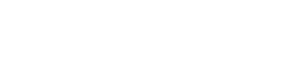 Nexora Yatırım Holding